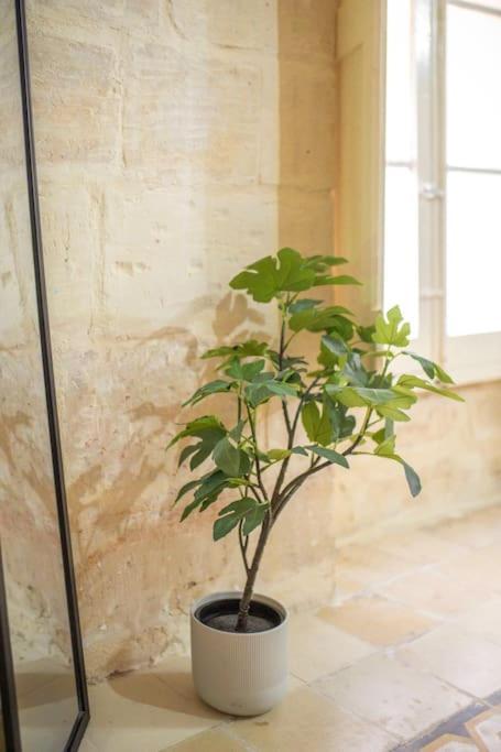 Chic, Stylish & Spacious Flat In Central Valletta Exteriér fotografie